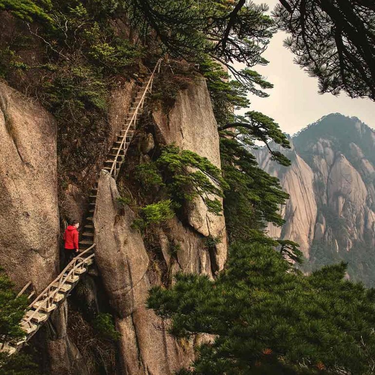 ladder